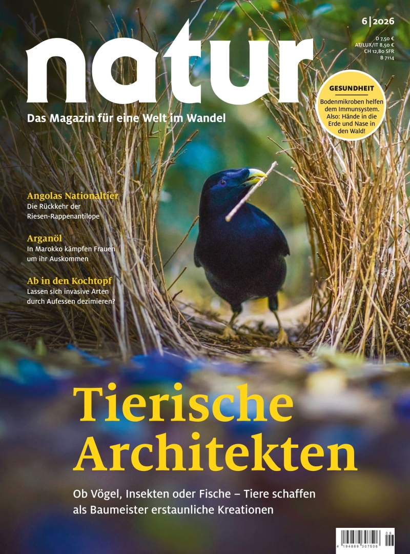 Image of natur