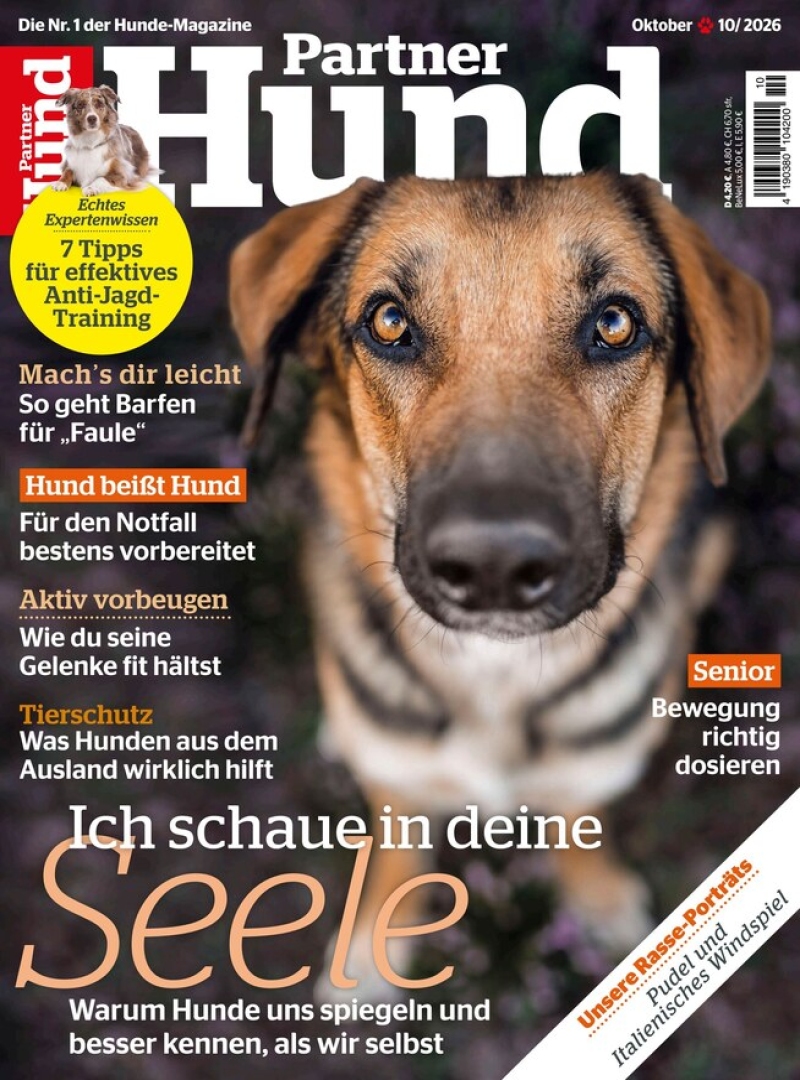 Partner Hund