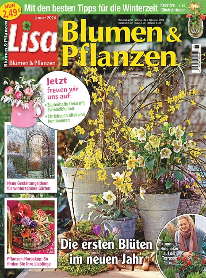 Lisa Blumen & Pflanzen