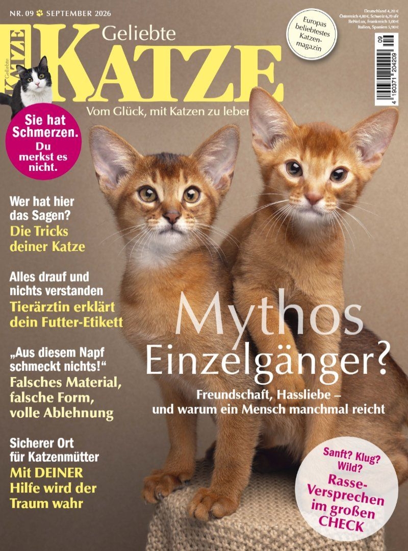 Geliebte KATZE