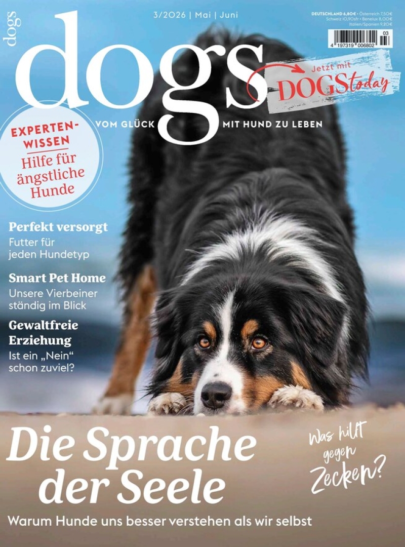 dogs