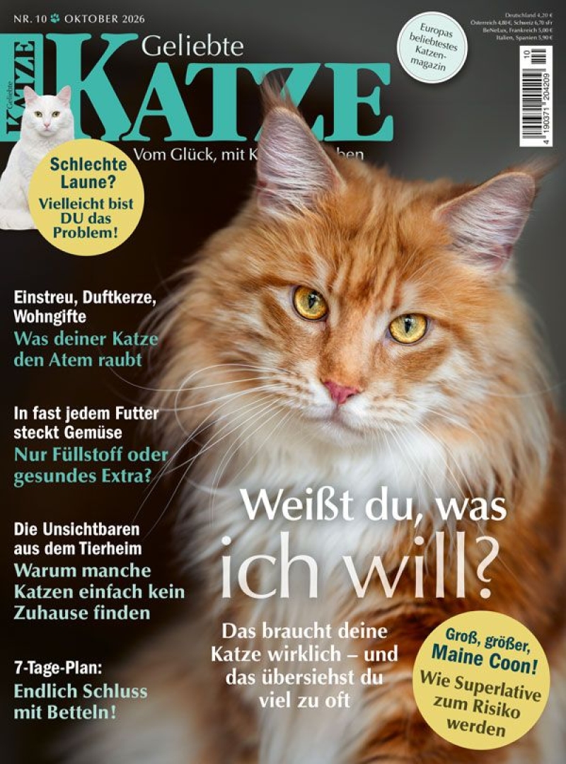 Geliebte KATZE