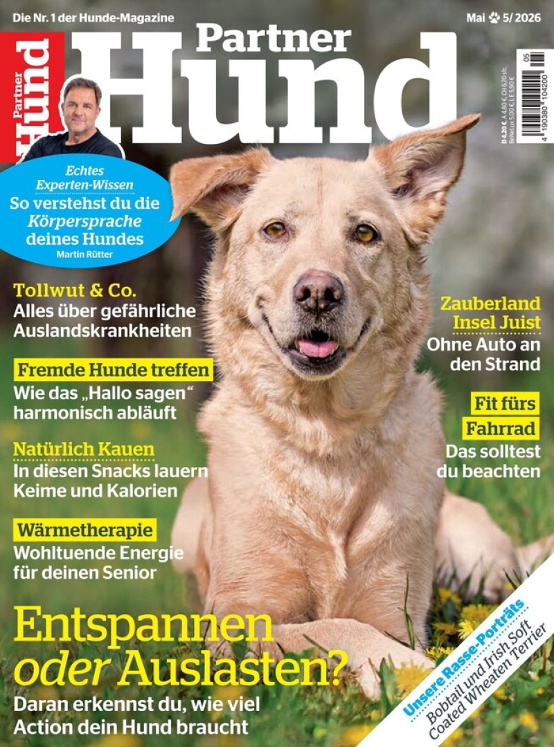 Partner Hund