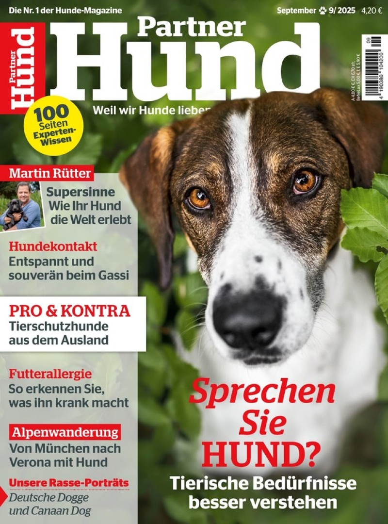 Partner Hund