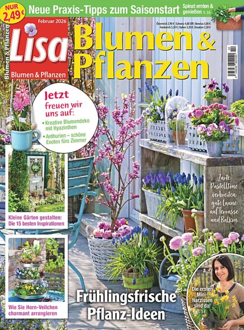 Lisa Blumen & Pflanzen
