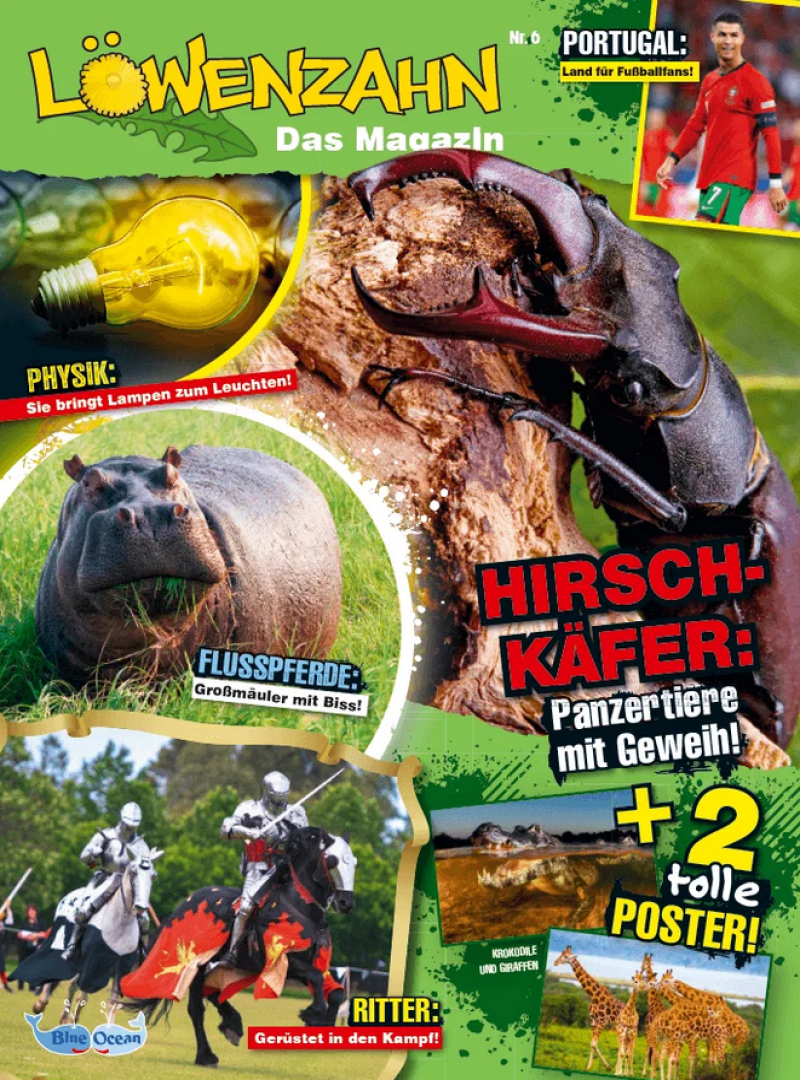 Image of Löwenzahn