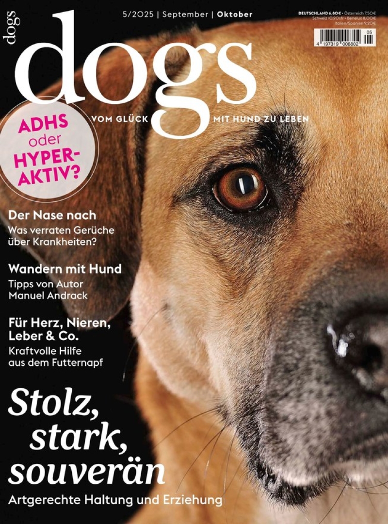 dogs dogs
